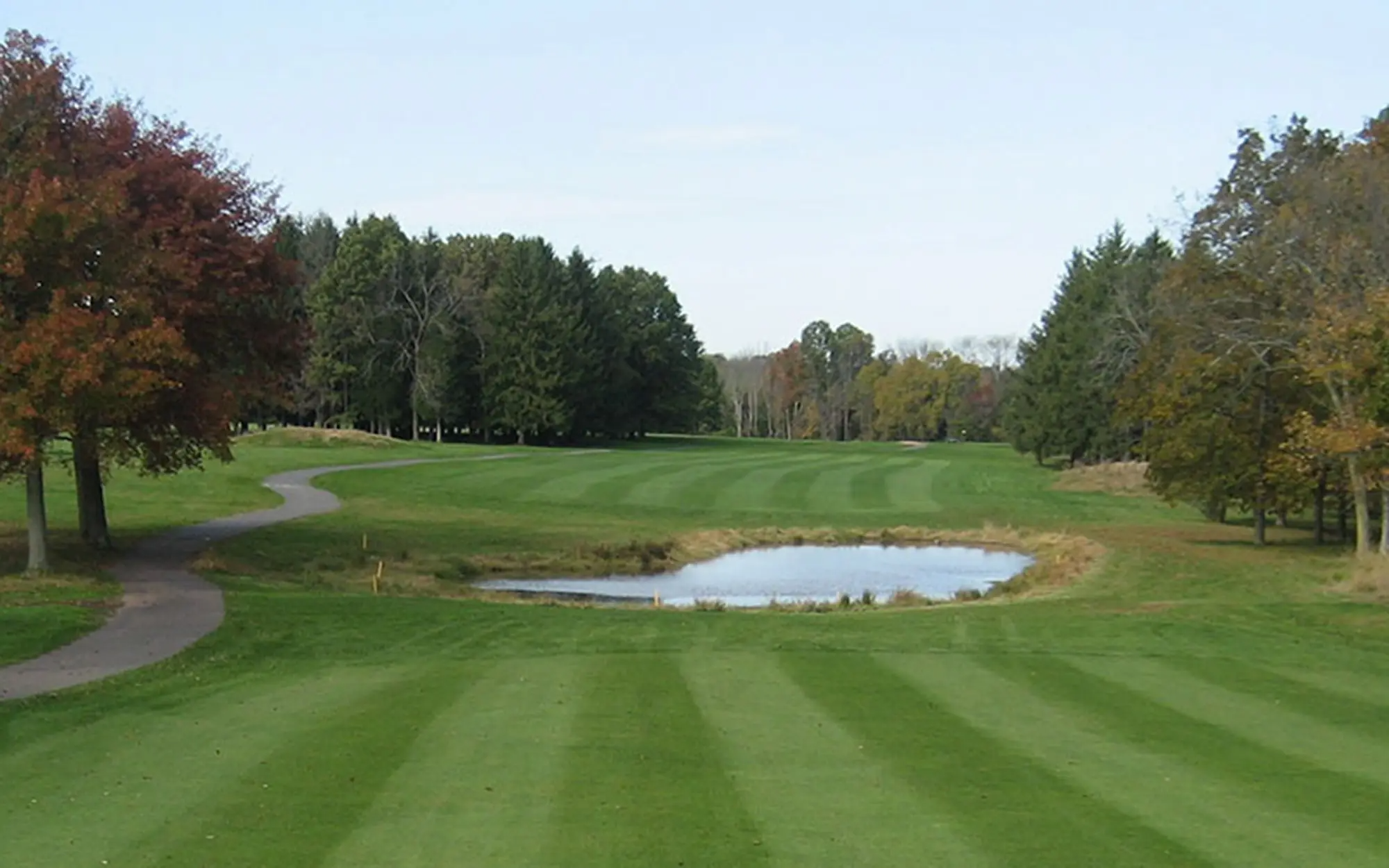 Manicured golf course greens