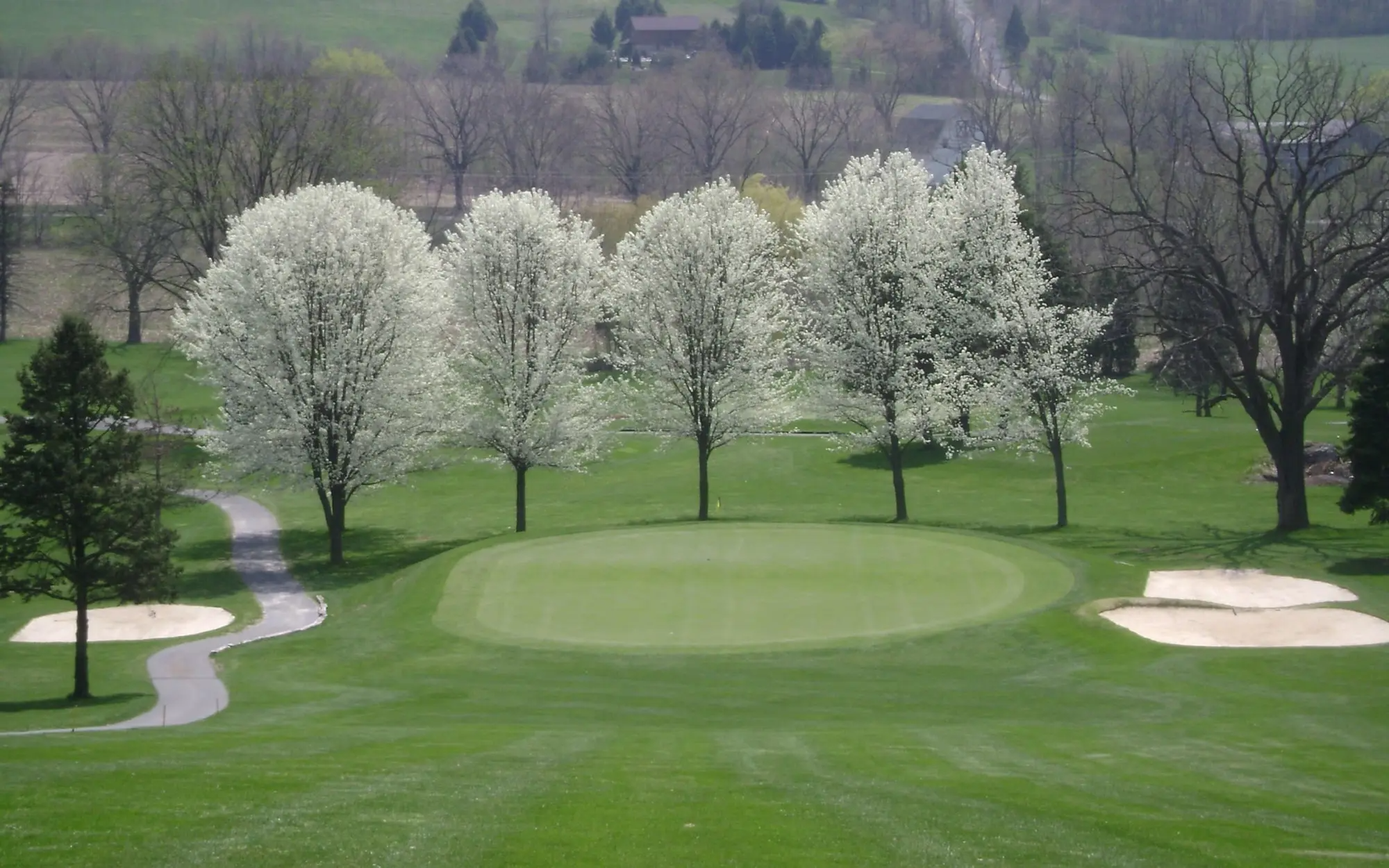 View of trees on golf course green